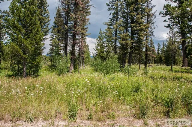 $325,000 | 2819 Northeast Sagehen Drive, Island Park, ID 83429