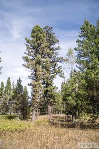 $325,000 | 2819 Northeast Sagehen Drive, Island Park, ID 83429