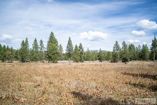 $325,000 | 2819 Northeast Sagehen Drive, Island Park, ID 83429