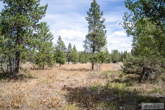 $325,000 | 2819 Northeast Sagehen Drive, Island Park, ID 83429