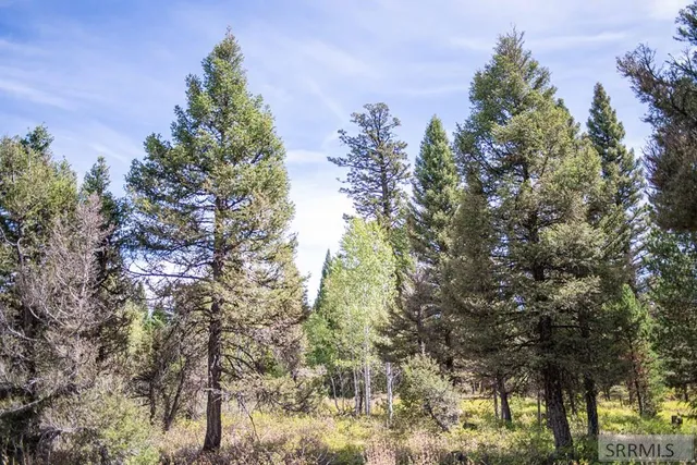 $325,000 | 2819 Northeast Sagehen Drive, Island Park, ID 83429