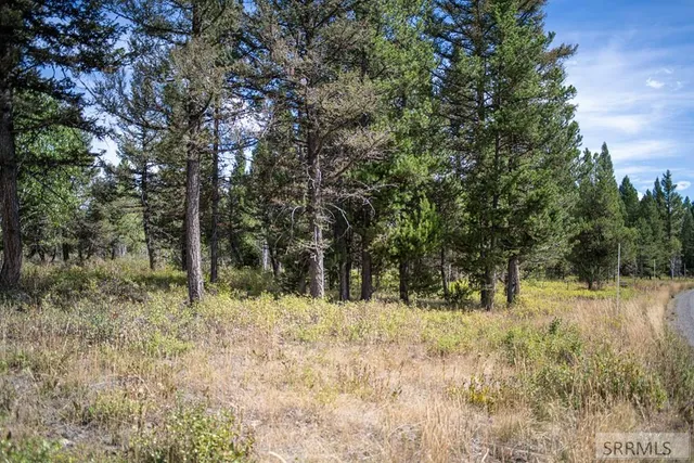 $325,000 | 2819 Northeast Sagehen Drive, Island Park, ID 83429