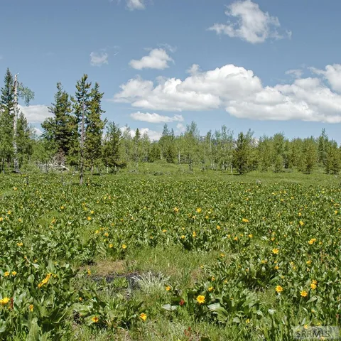 $325,000 | 2819 Northeast Sagehen Drive, Island Park, ID 83429