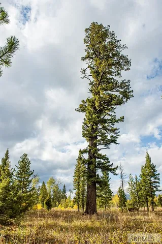 $325,000 | 2819 Northeast Sagehen Drive, Island Park, ID 83429