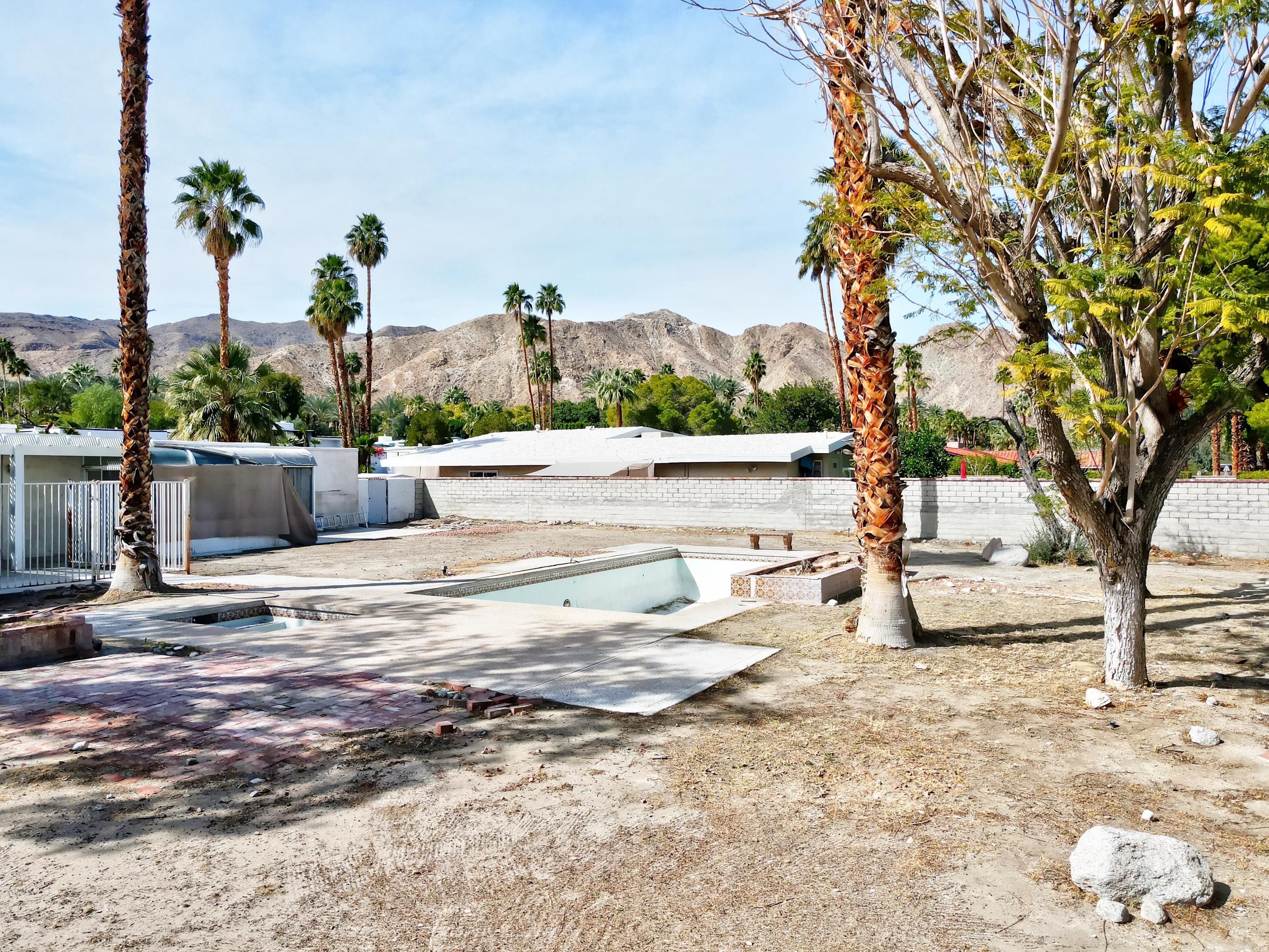 a view of a yard with a tree