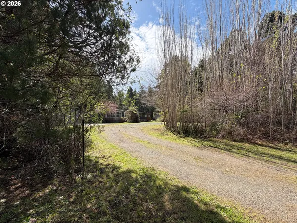 a view of a yard with a tree