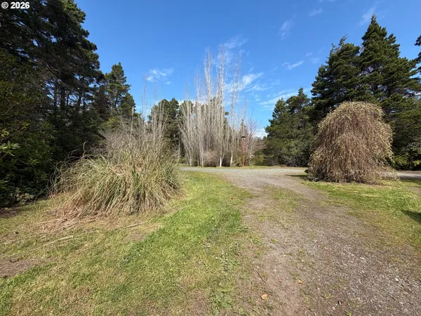 a view of a yard with large trees