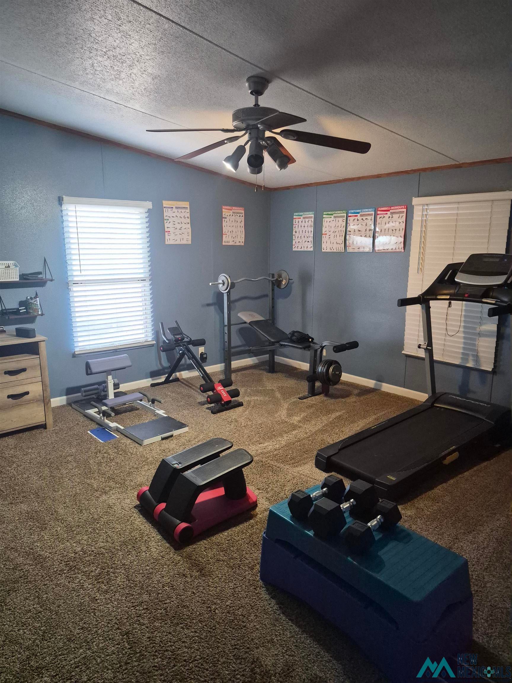 751 South Roosevelt Rd R 1/2 Portales, NM 88130 - Photo 10 of 21 Workout room with ceiling fan, plenty of natural light, a textured ceiling, and carpet