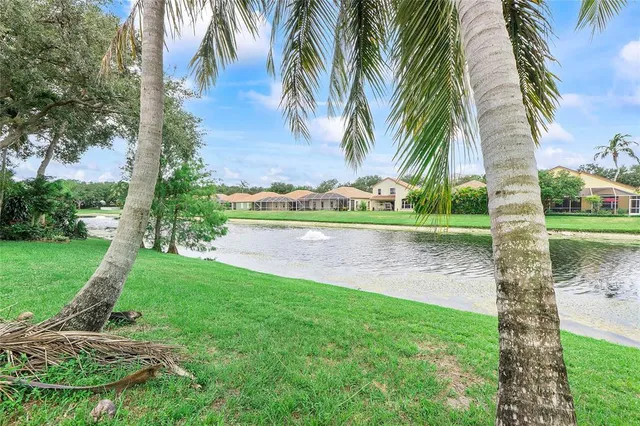 a view of a yard and palm trees