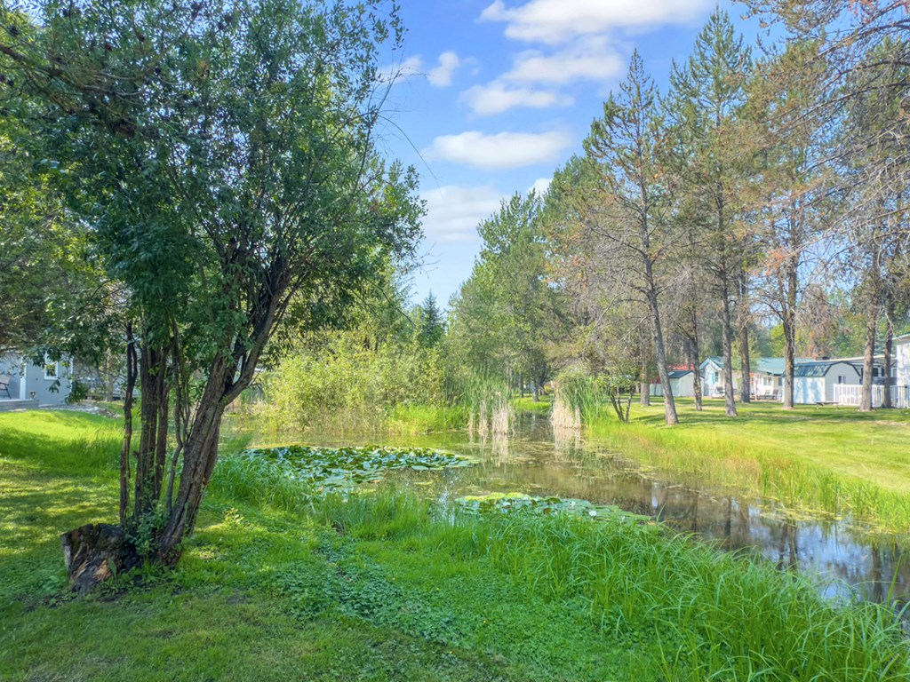 30 F Street Cascade, ID 83611 - Photo 15 of 27 Walk Along Creek