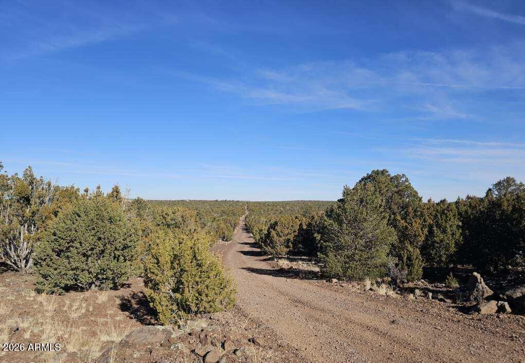 10 County Road Concho, AZ 85924 - Photo 4 of 18 10 County Rd N8412