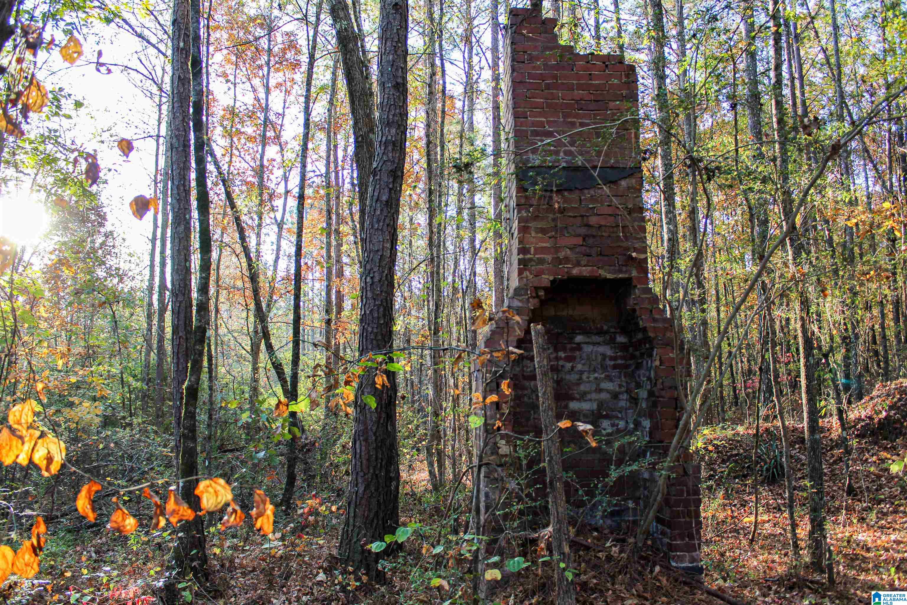 1624 Fleming Road Vincent, AL 35178 - Photo 40 of 54