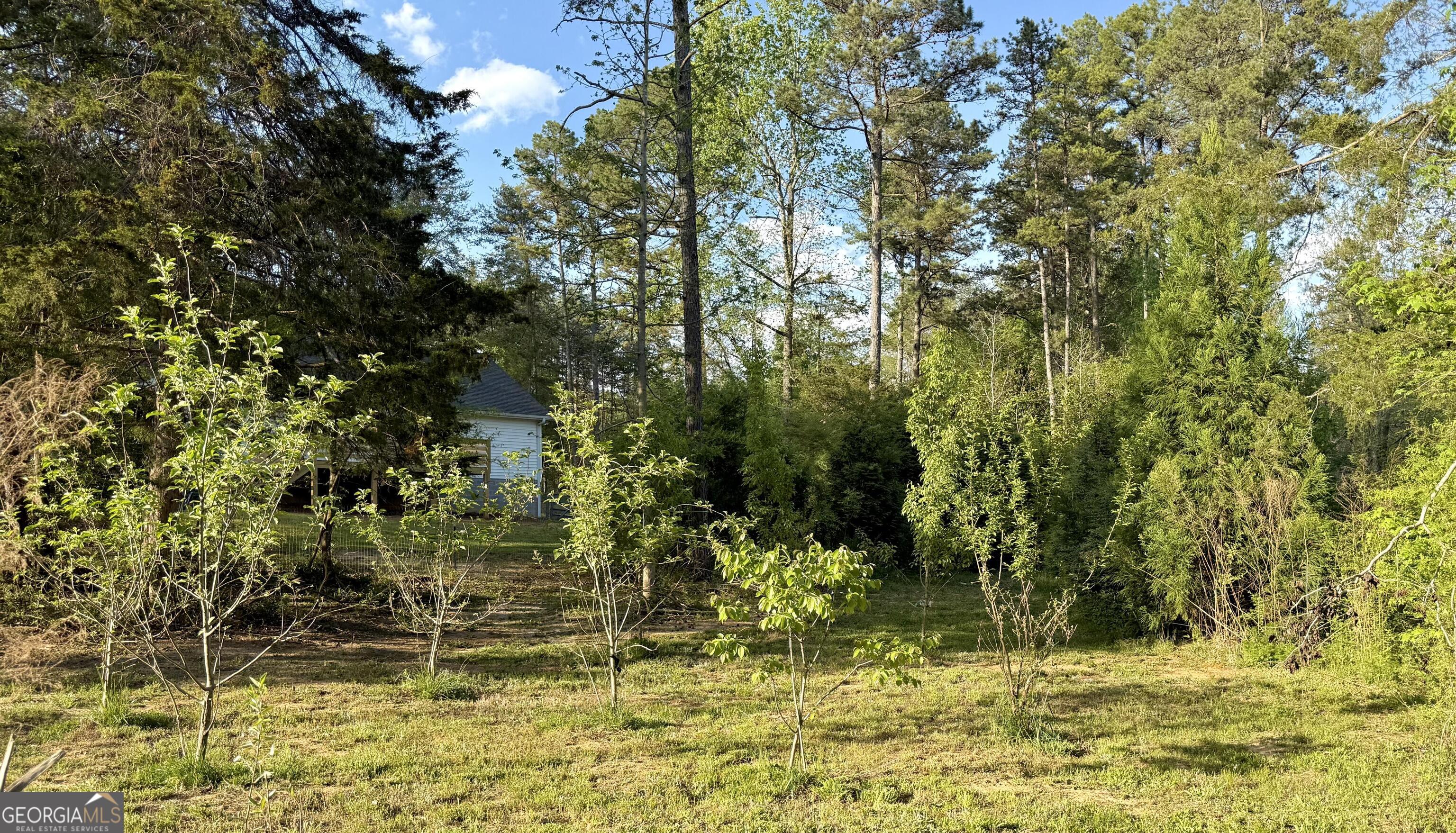 791 Silver Shoals Road Lula, GA 30554 - Photo 36 of 38