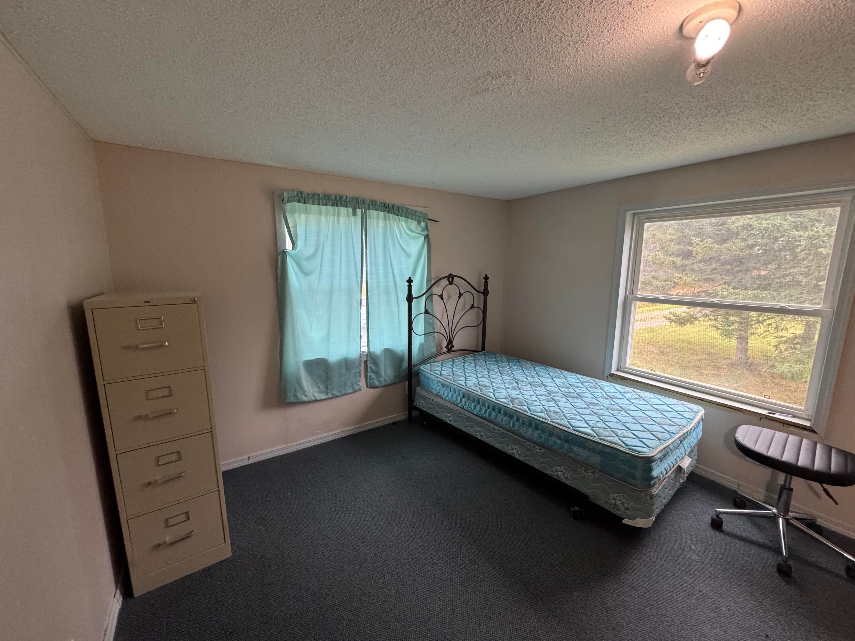 10319 South Forrest Side Road Dafter, MI 49724 - Photo 20 of 29 Gallery Image 20