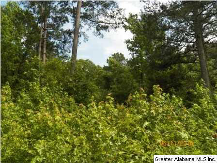 0 Kirkseys Bend Ohatchee, AL 36271 - Photo 4 of 8