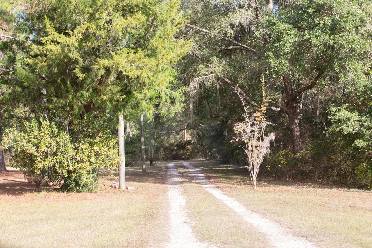 3214 Tram Road Monticello, FL 32344 - Photo 20 of 30 Gallery Image 20