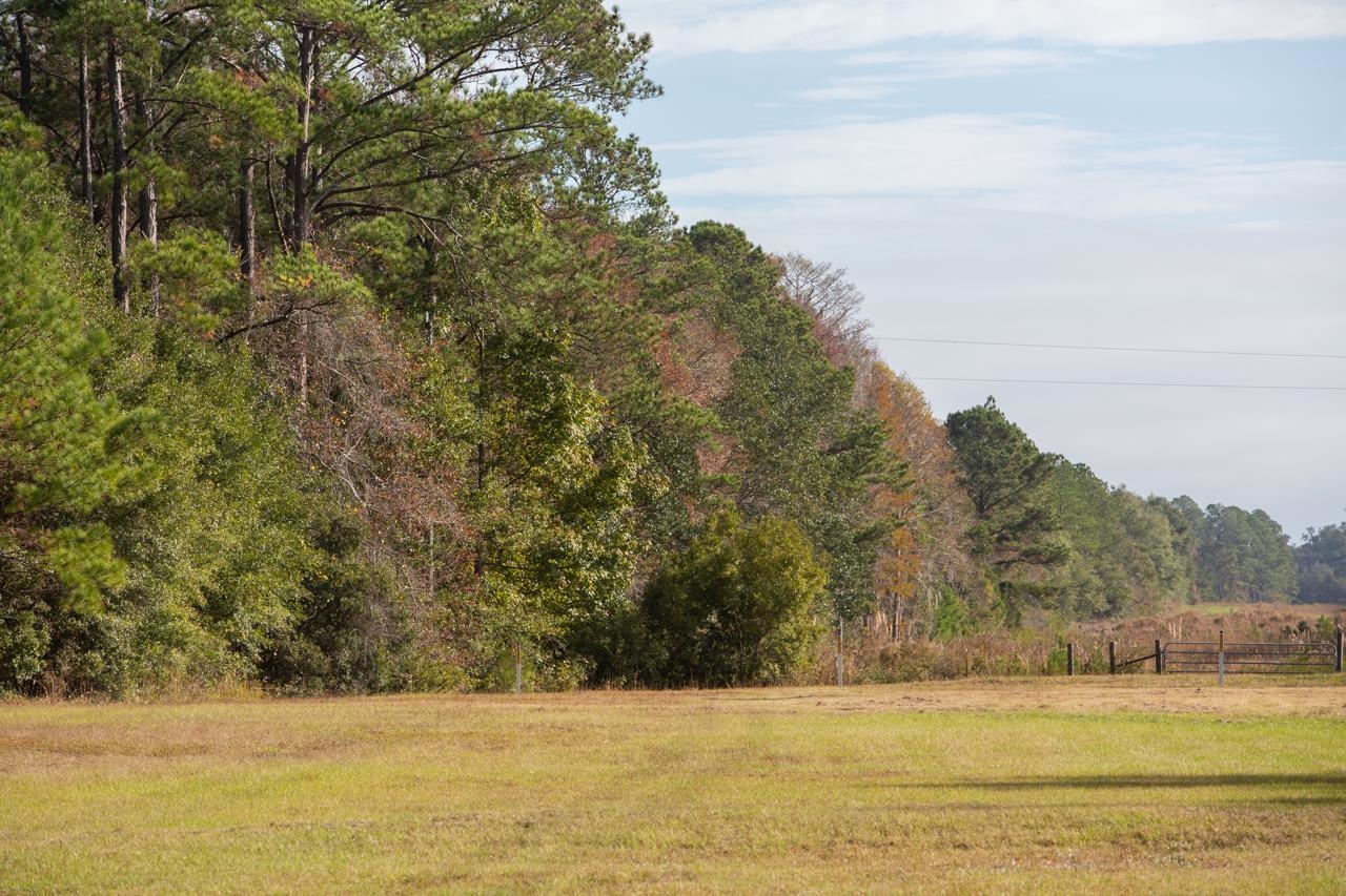 3214 Tram Road Monticello, FL 32344 - Photo 22 of 30 Gallery Image 22