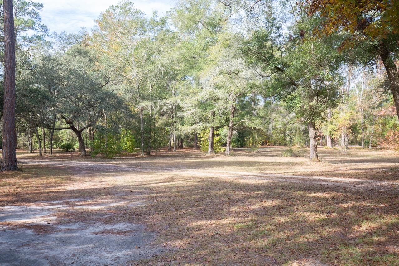 3214 Tram Road Monticello, FL 32344 - Photo 4 of 30 Gallery Image 4