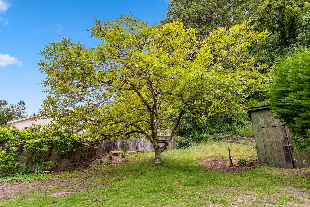 365 Nelson Road Scotts Valley, CA 95066 - Photo 30 of 34 Gallery Image 30