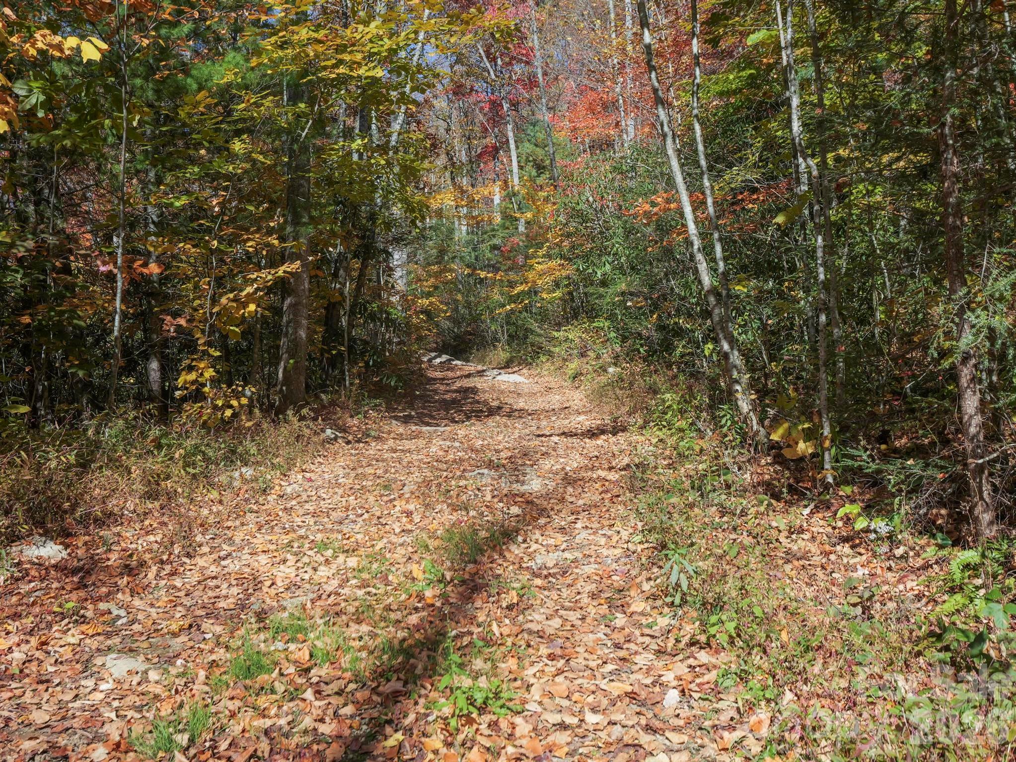 Tbd Long Branch Road Swannanoa, NC 28778 - Photo 15 of 18
