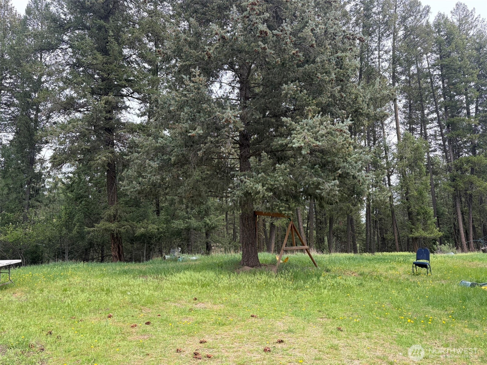33 Old W Curlew Lake Road Republic, WA 99166 - Photo 12 of 12