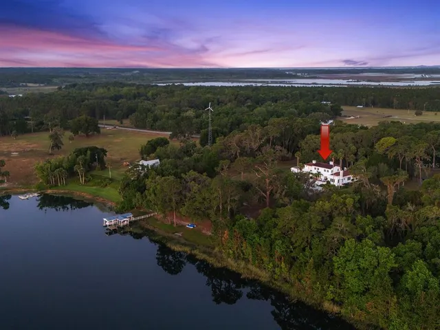 a view of a yard with plants and trees