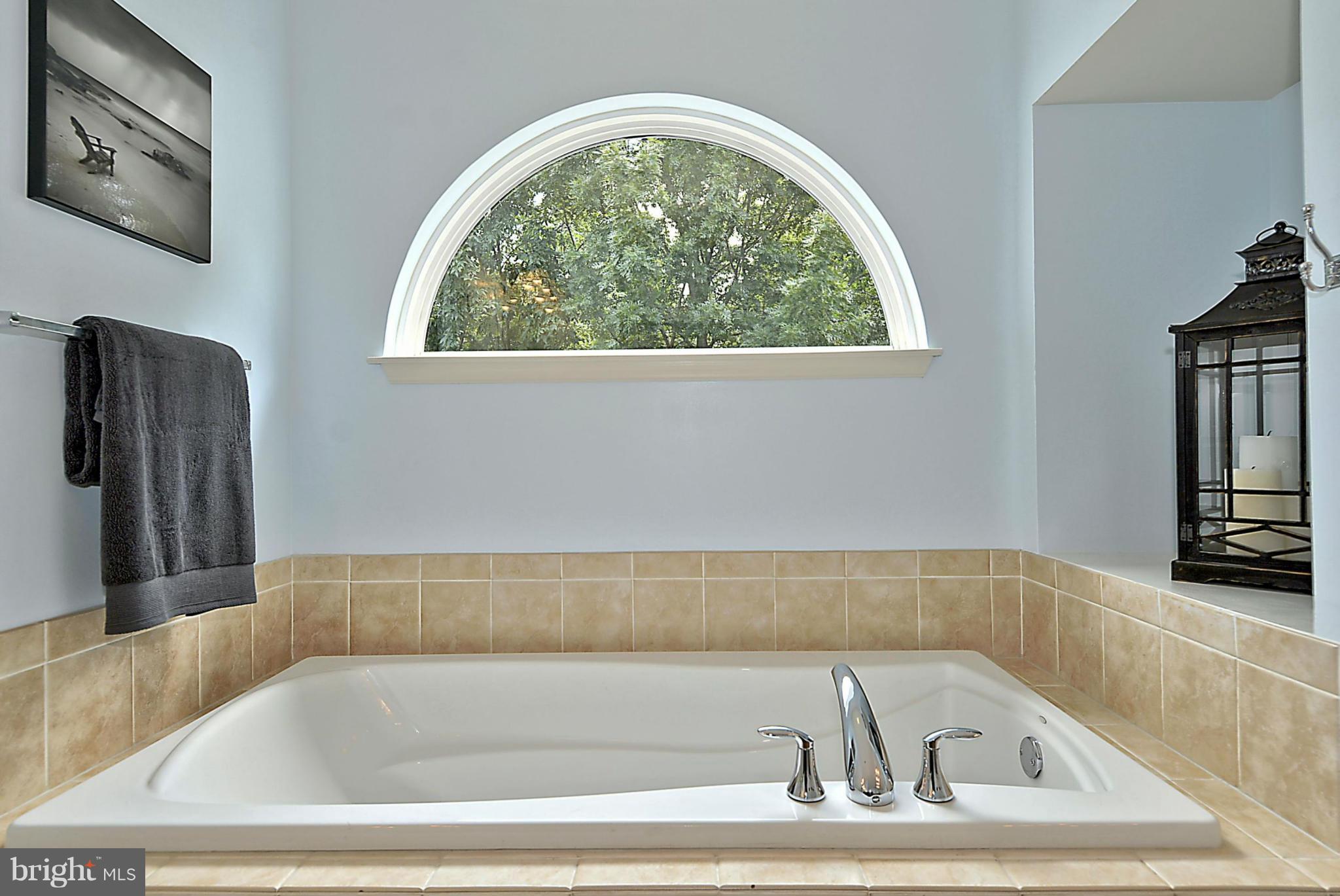 9062 Roaring Spring Loop Bristow, VA 20136 - Photo 15 of 30 Enjoy the view from grand soaking tub in Master!