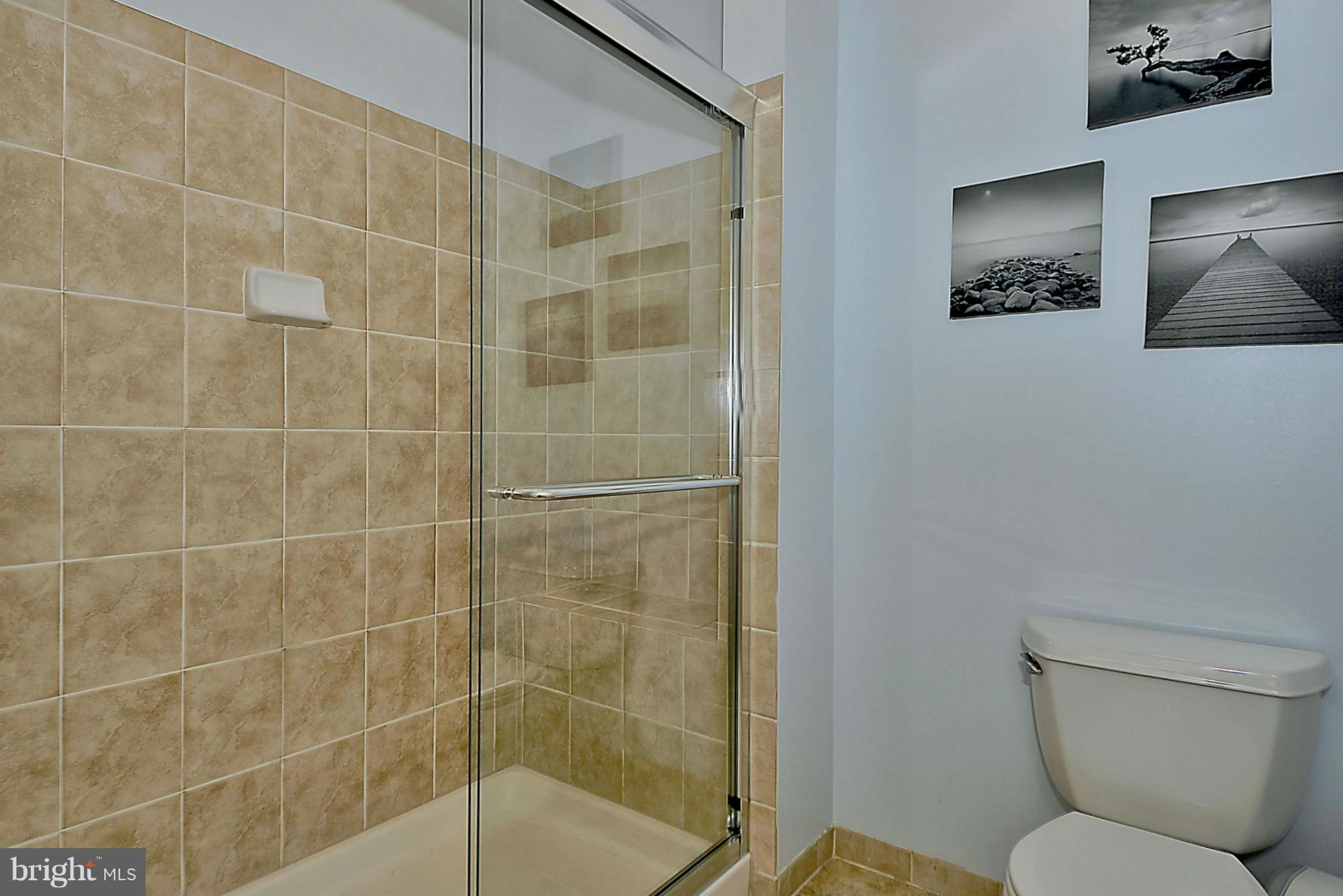 9062 Roaring Spring Loop Bristow, VA 20136 - Photo 16 of 30 Spa bathroom w/NEW shower doors!