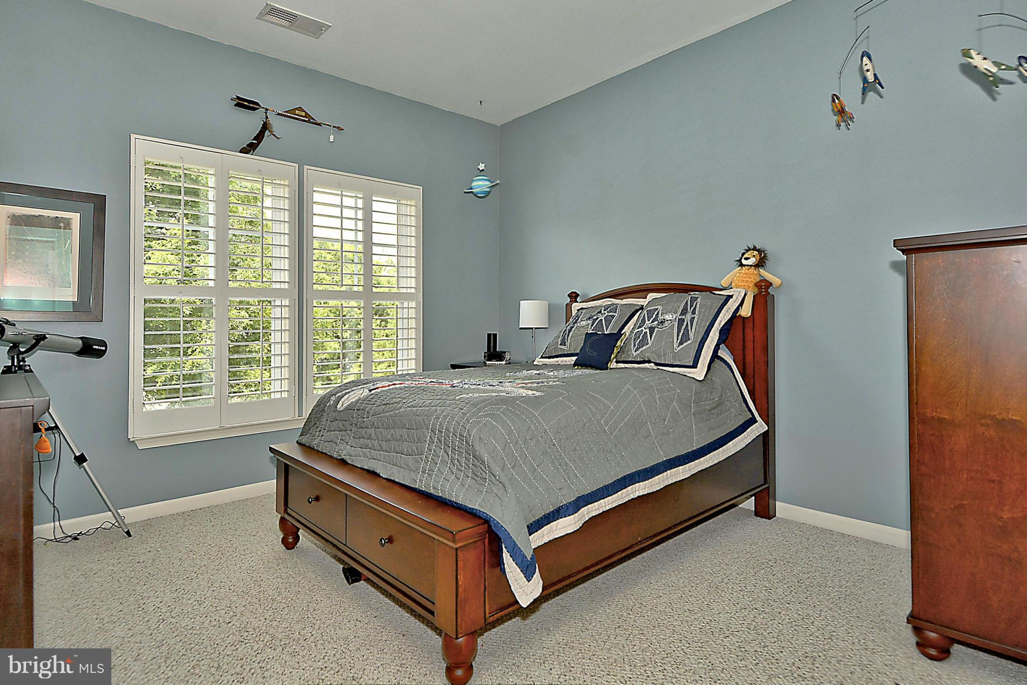 9062 Roaring Spring Loop Bristow, VA 20136 - Photo 19 of 30 Another large bedroom w/another great view!