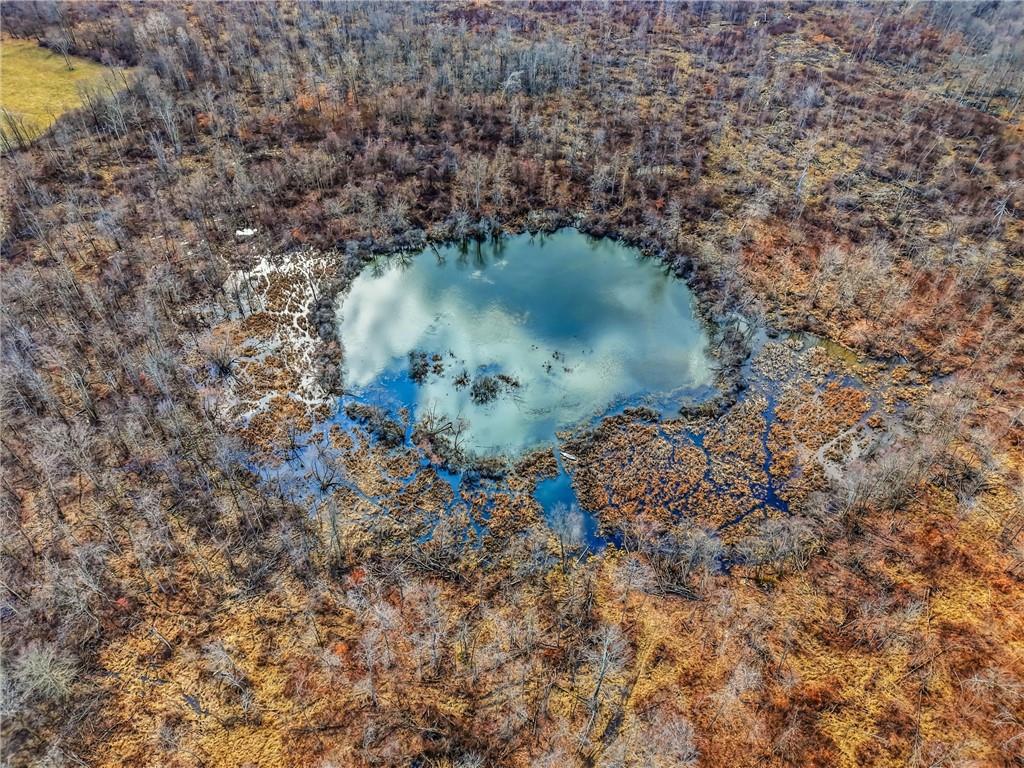 0 Roman Mercer, PA 16137 - Photo 11 of 22 a view of a lake from a yard