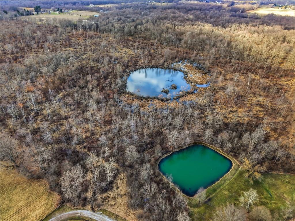 0 Roman Mercer, PA 16137 - Photo 12 of 22 a view of a backyard