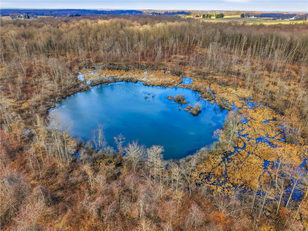 0 Roman Mercer, PA 16137 - Photo 14 of 22 a view of outdoor space and yard