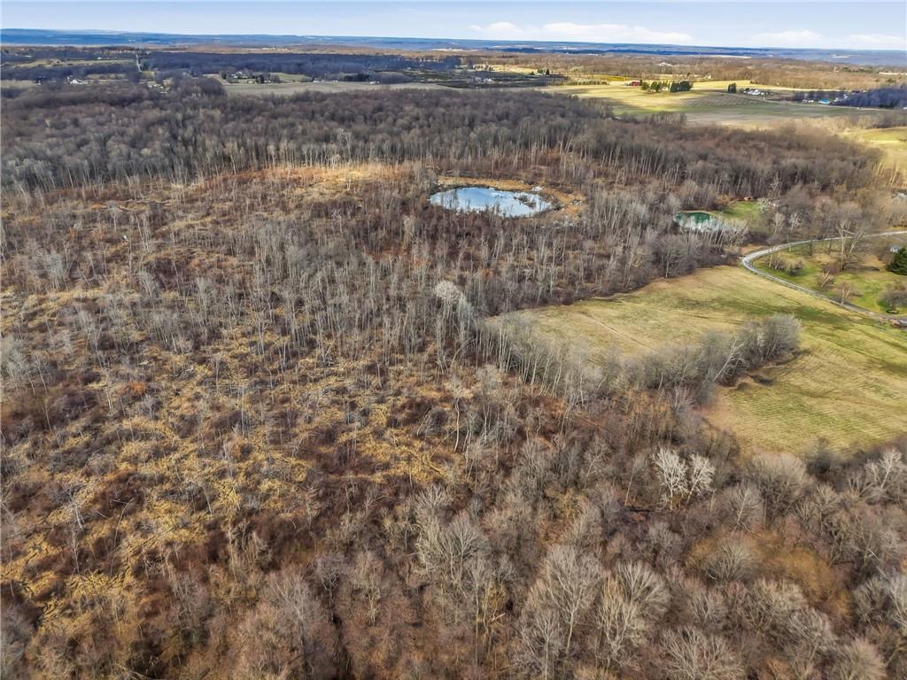 0 Roman Mercer, PA 16137 - Photo 21 of 22 a view of a lake with beach and mountain view