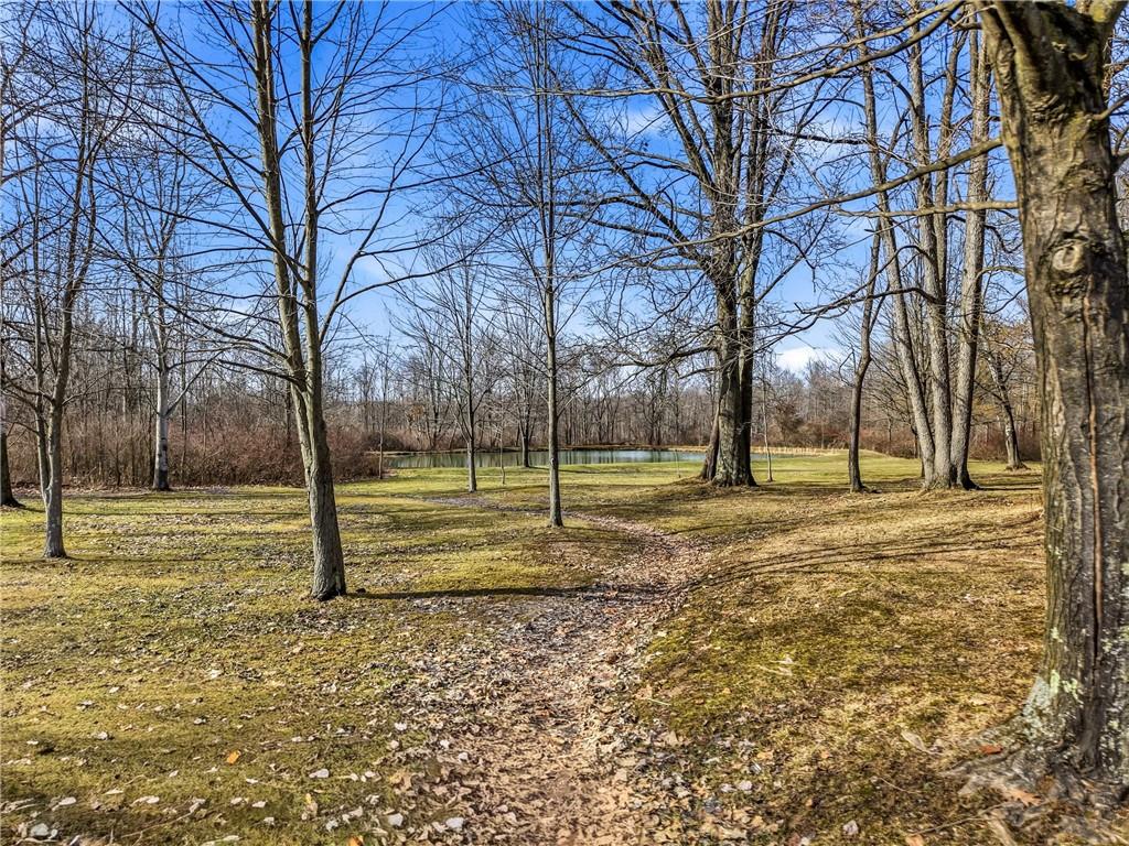 0 Roman Mercer, PA 16137 - Photo 6 of 22 a view of a yard with a tree