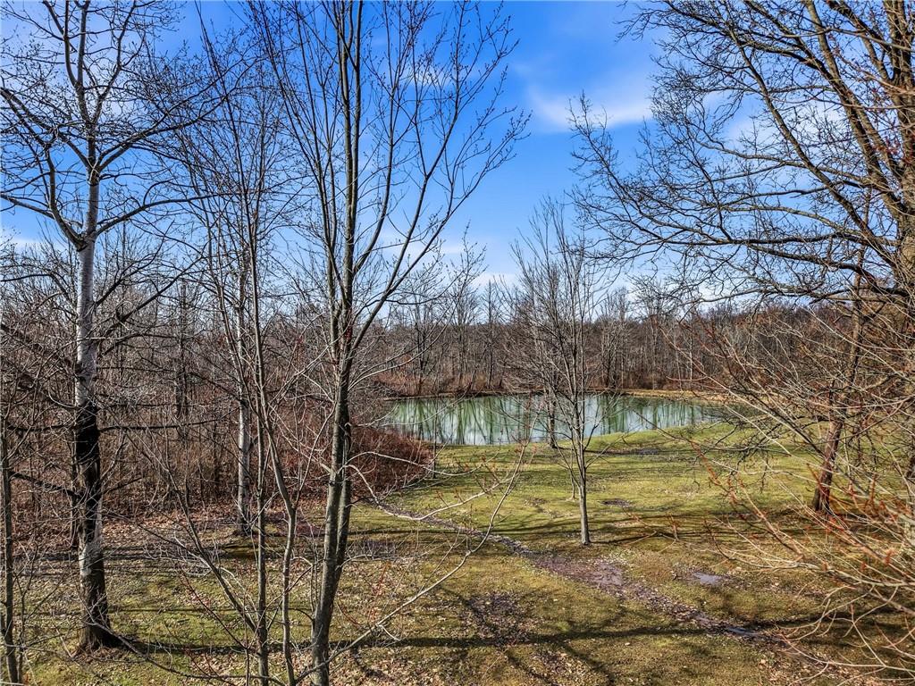 0 Roman Mercer, PA 16137 - Photo 7 of 22 a view of yard