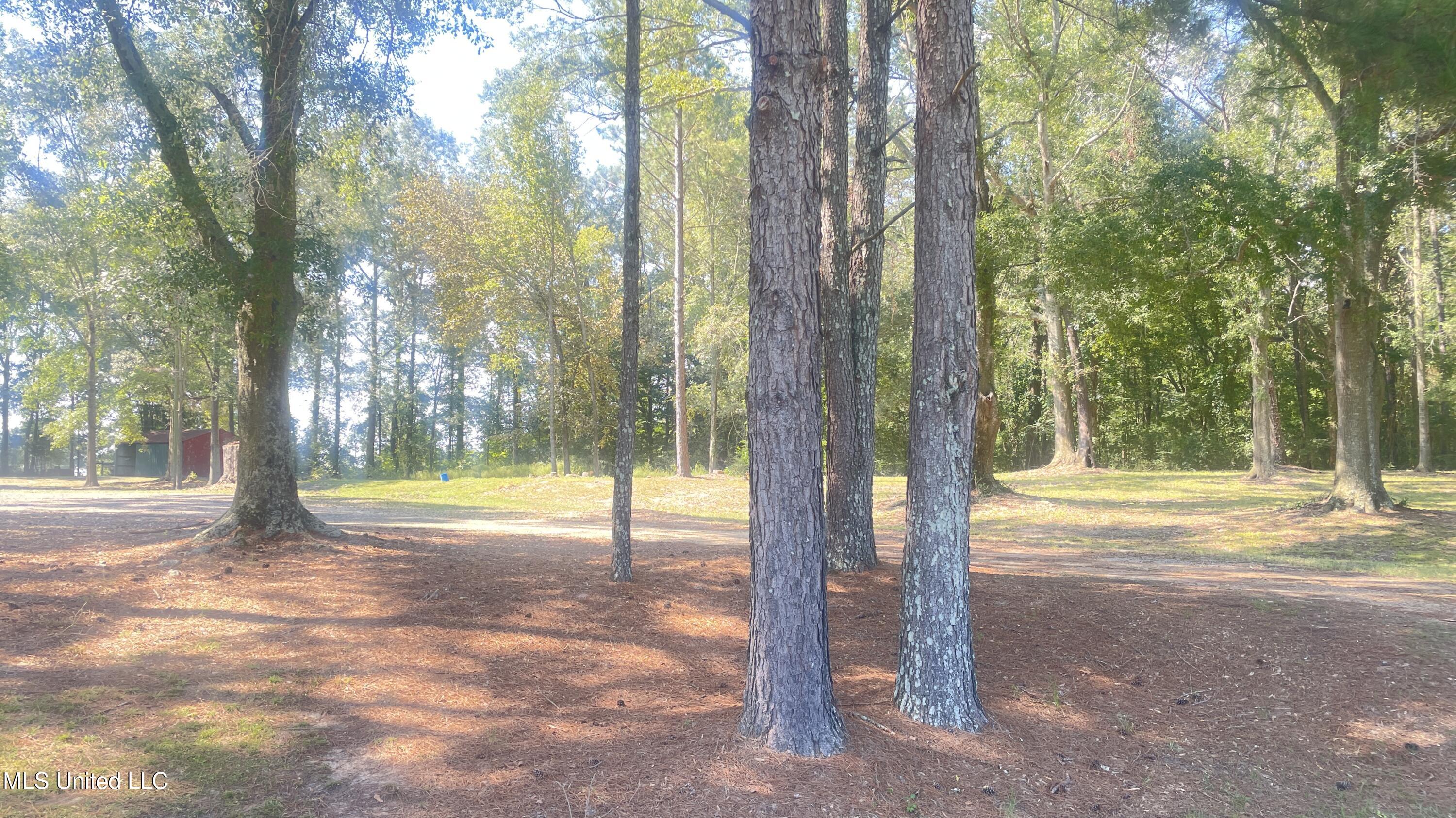 9855 Highway 501 Forest, MS 39074 - Photo 26 of 29 IMG_6831