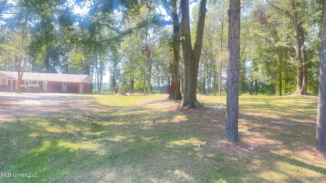 $225,000 | 9855 Highway 501, Forest, MS 39074