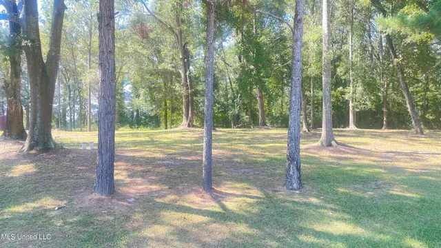 $225,000 | 9855 Highway 501, Forest, MS 39074