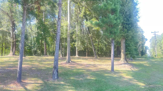 $225,000 | 9855 Highway 501, Forest, MS 39074