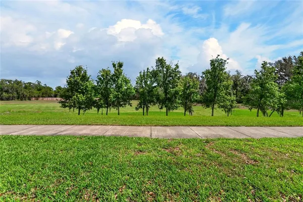 $4,200 | 15921 Persimmon Grove Drive, Lithia, FL 33547