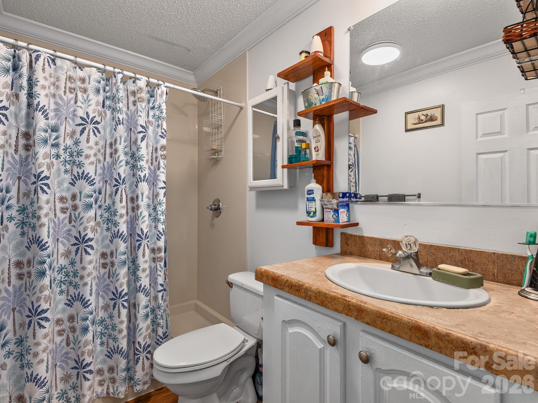 373 Starnes Cove Road Candler, NC 28715 - Photo 13 of 21 a bathroom with a granite countertop sink toilet and shower