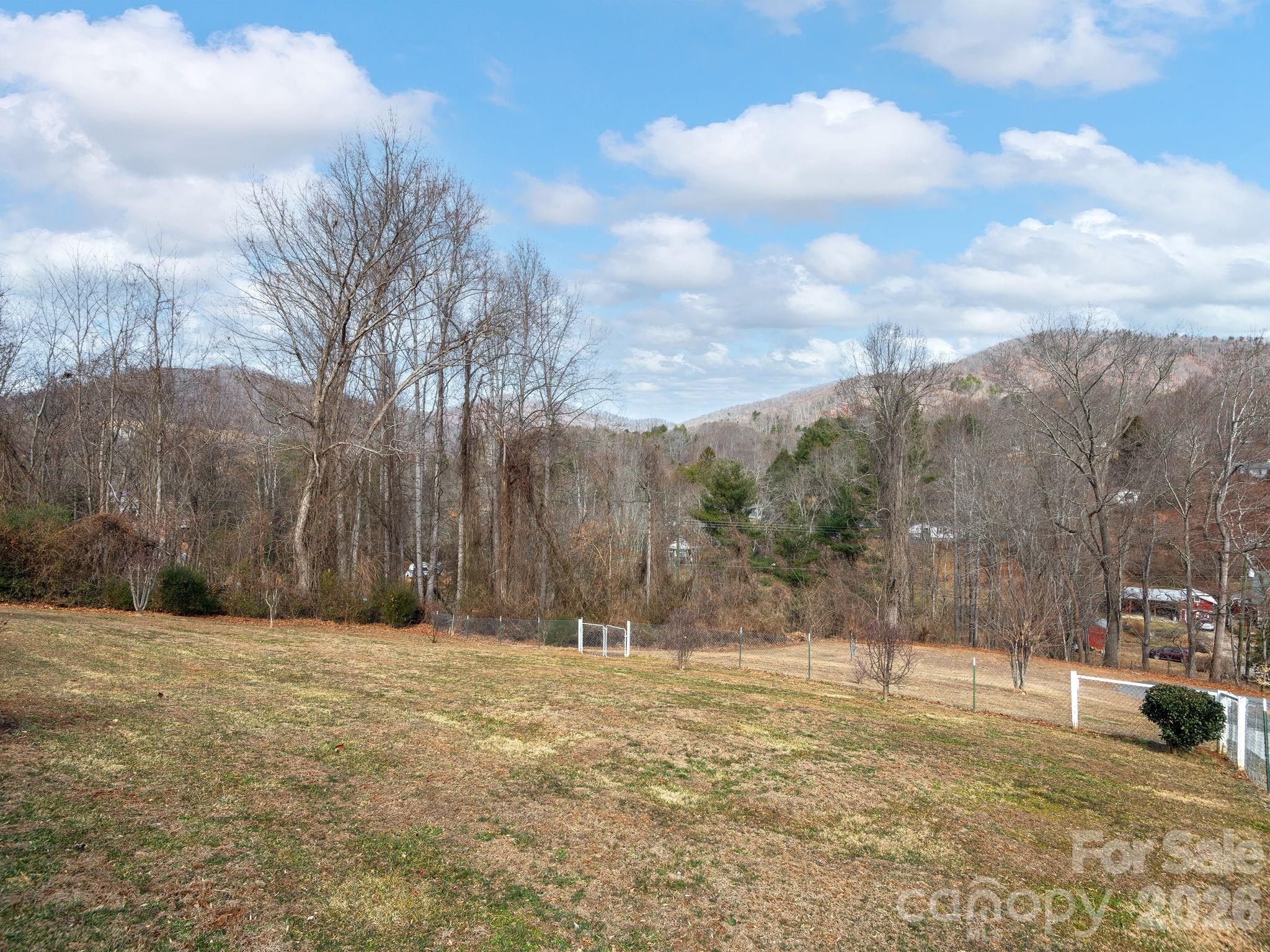 373 Starnes Cove Road Candler, NC 28715 - Photo 15 of 21 a view of a yard with a house