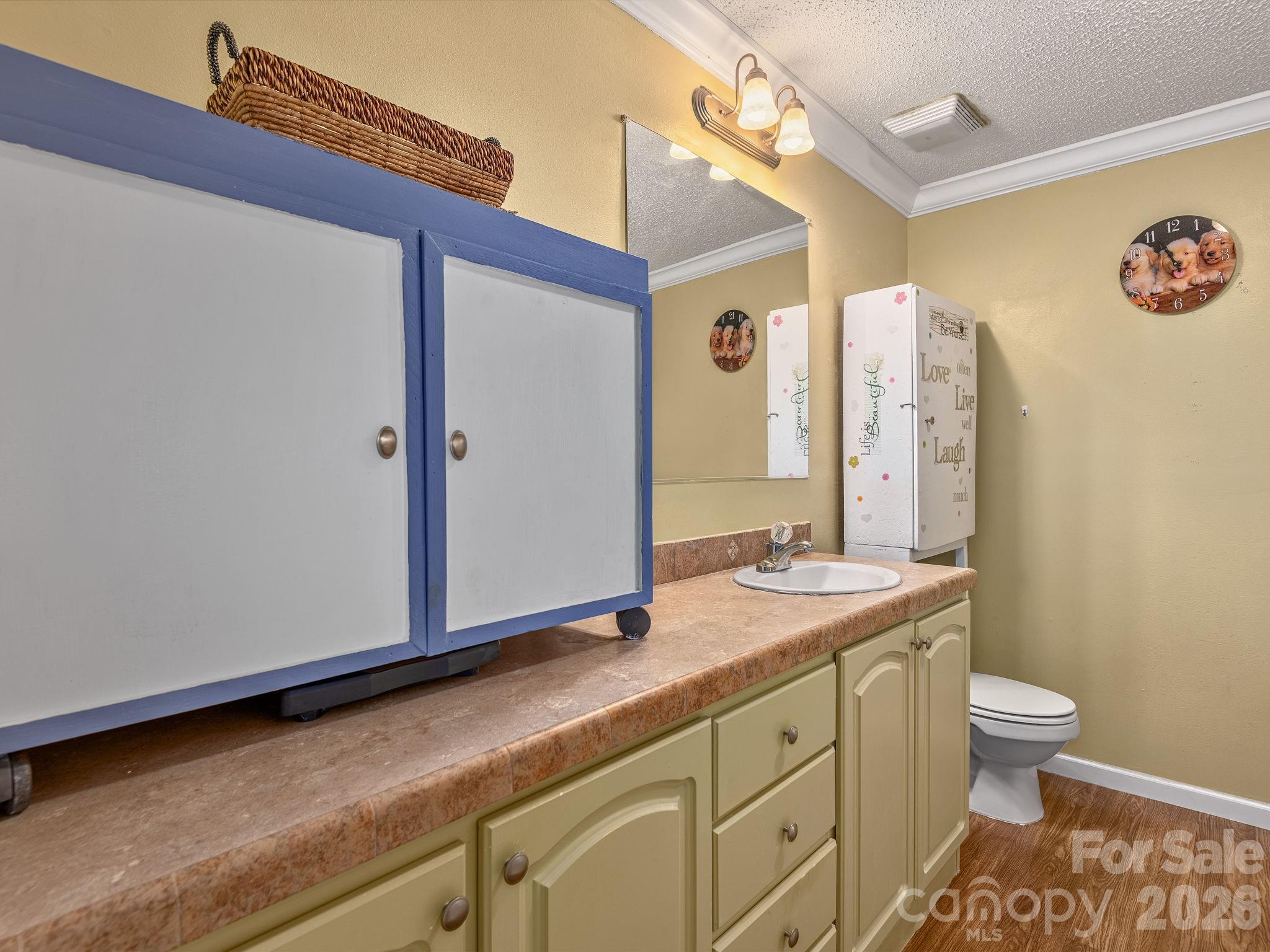 373 Starnes Cove Road Candler, NC 28715 - Photo 10 of 21 a bathroom with a granite countertop sink a toilet and a mirror