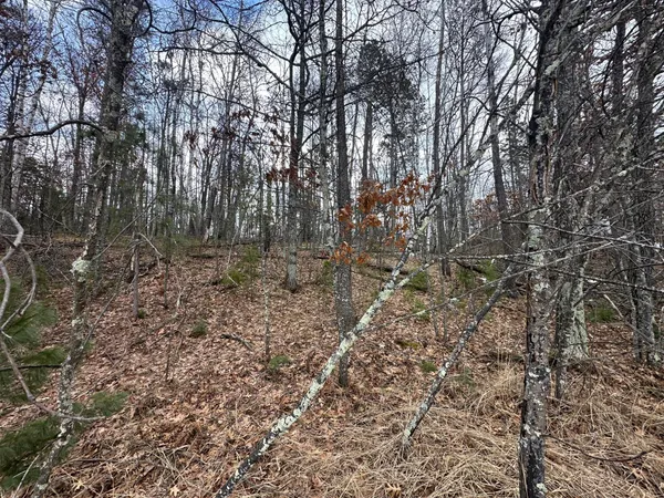 $77,500 | Tbd Dobosenski Road, Sturgeon Lake, MN 55783