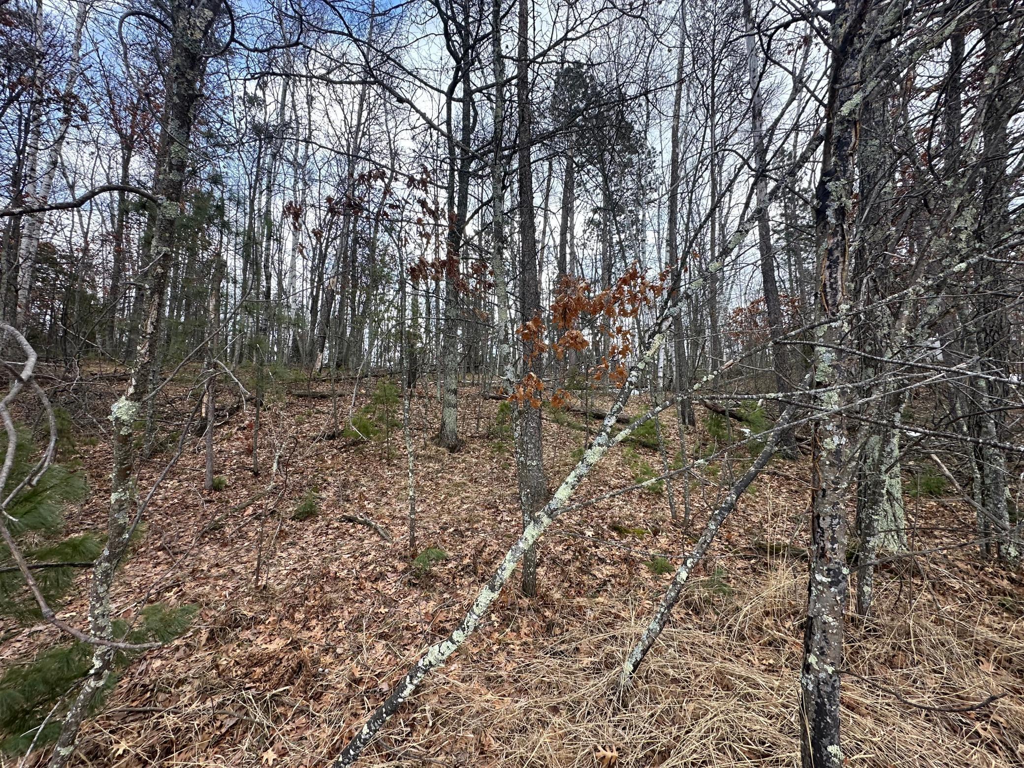 Tbd Dobosenski Road Sturgeon Lake, MN 55783 - Photo 12 of 17