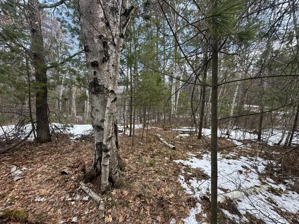 $77,500 | Tbd Dobosenski Road, Sturgeon Lake, MN 55783