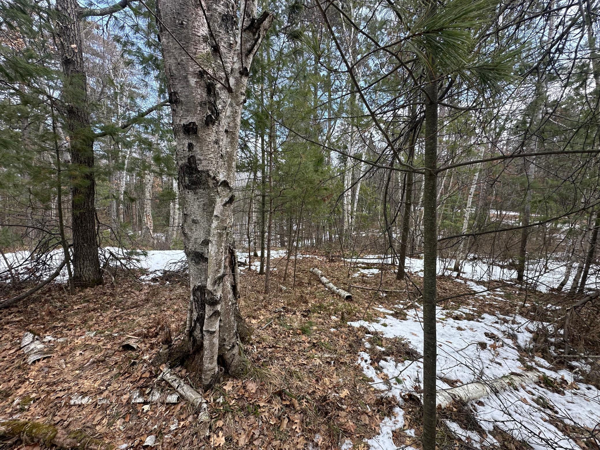 Tbd Dobosenski Road Sturgeon Lake, MN 55783 - Photo 13 of 17