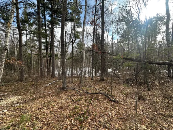 $77,500 | Tbd Dobosenski Road, Sturgeon Lake, MN 55783