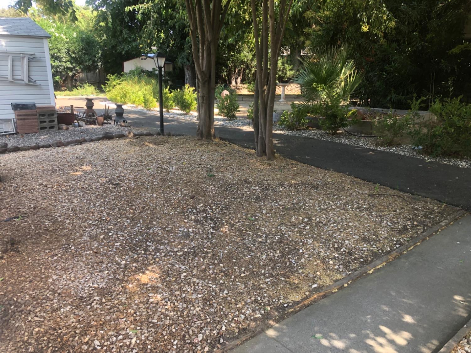 257 Quarter Circle Davis, CA 95618 - Photo 13 of 19