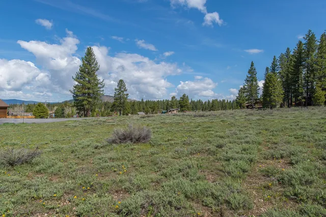 a view of a field with trees in the background